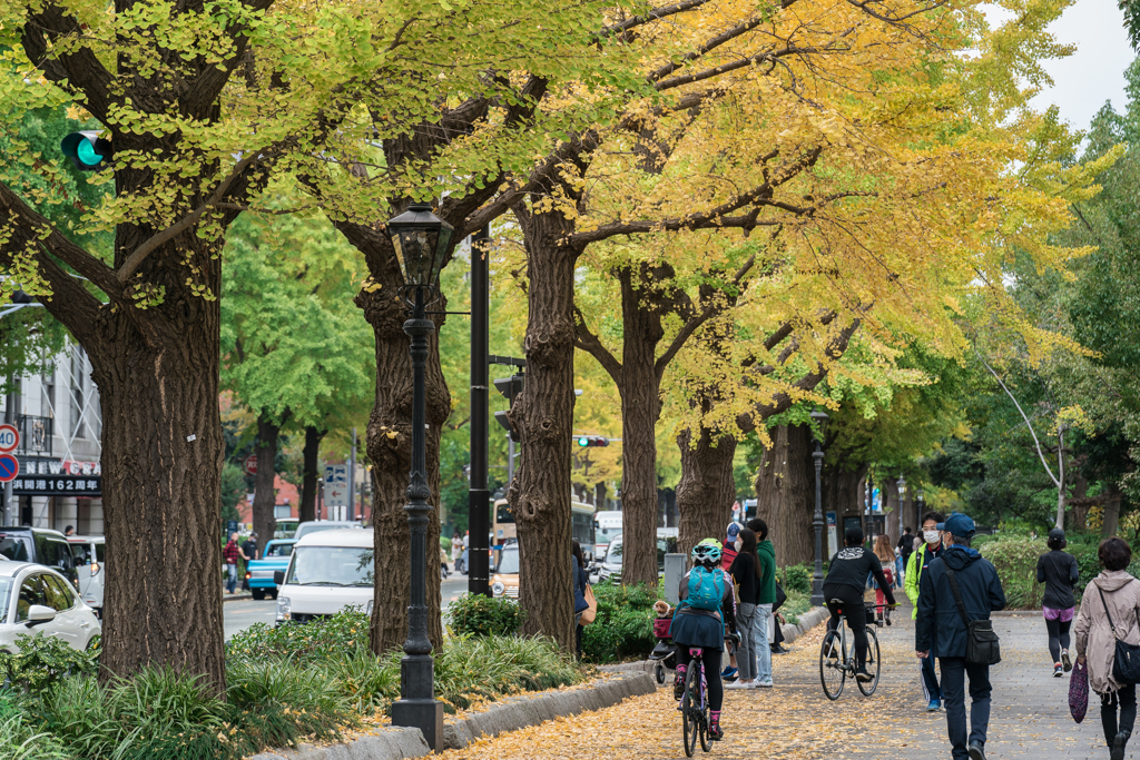 山下公園　紅葉
