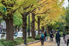 山下公園　紅葉