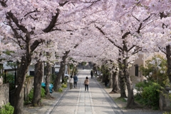 称名寺参道