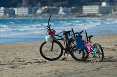 2021-02-14 材木座海岸