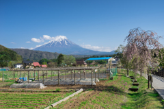 西湖いやしの里根場