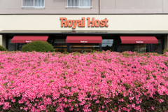 能見台のロイヤルホスト