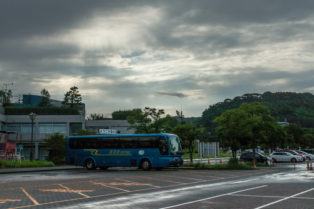 2015-06-22 八景島紫陽花祭り #30