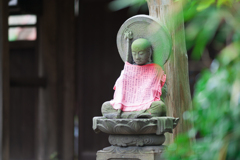 称名寺スナップ