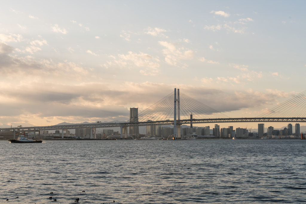 大黒海釣り公園より