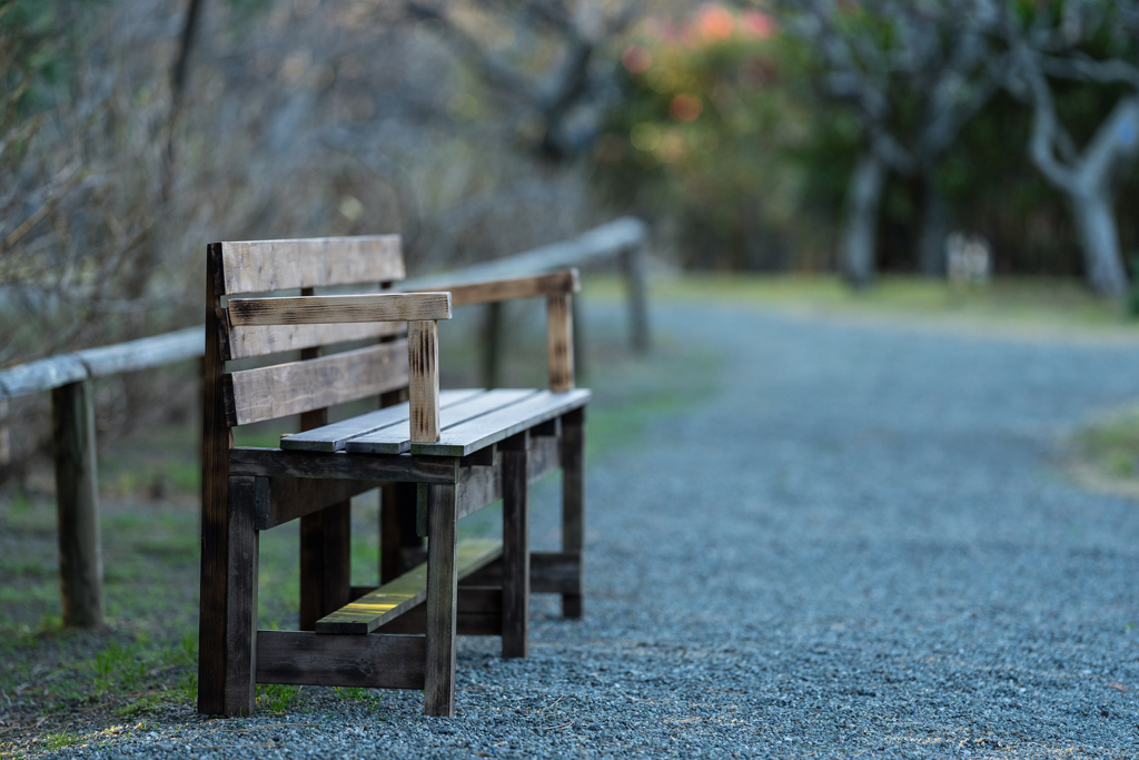 葉山しおさい公園