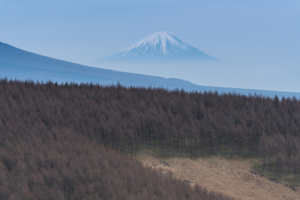 ビーナスラインからの風景