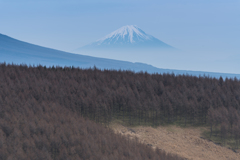 ビーナスラインからの風景