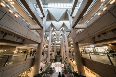 横浜スナップ