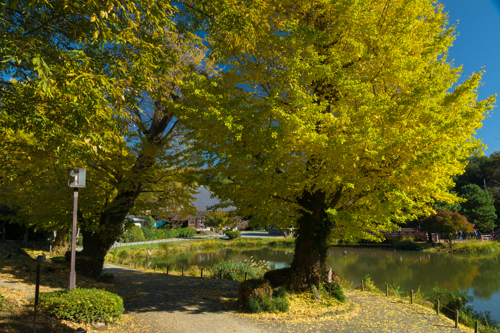 称名寺