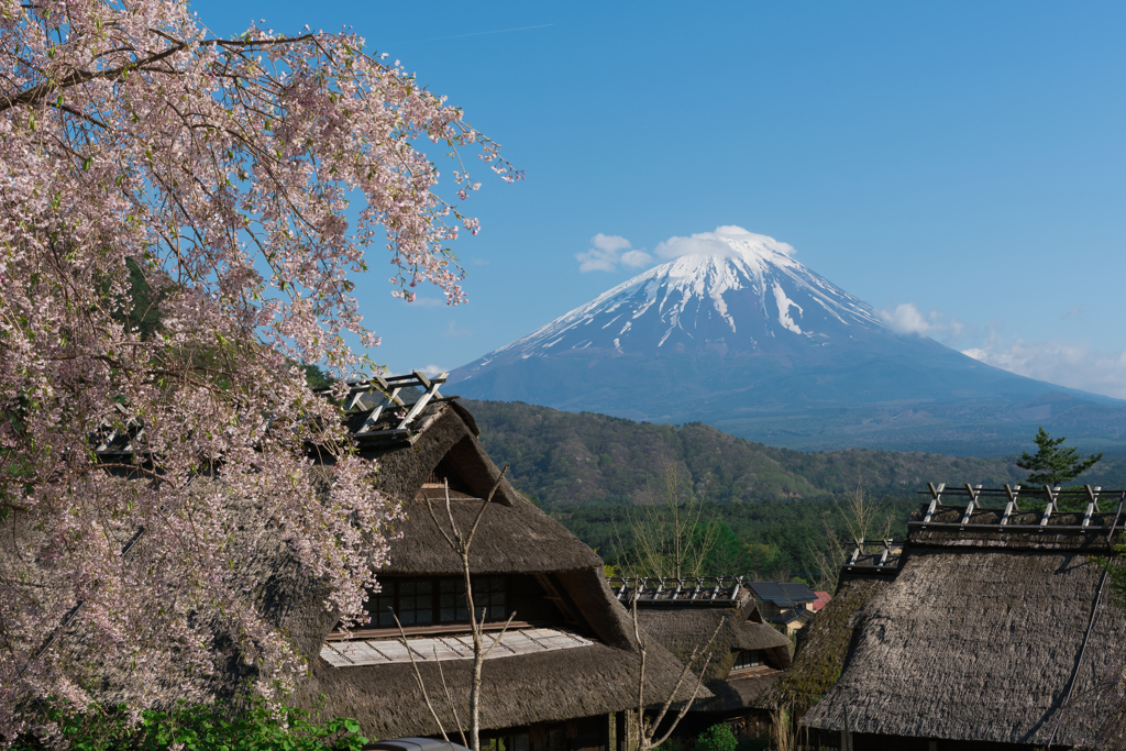 西湖いやしの里根場