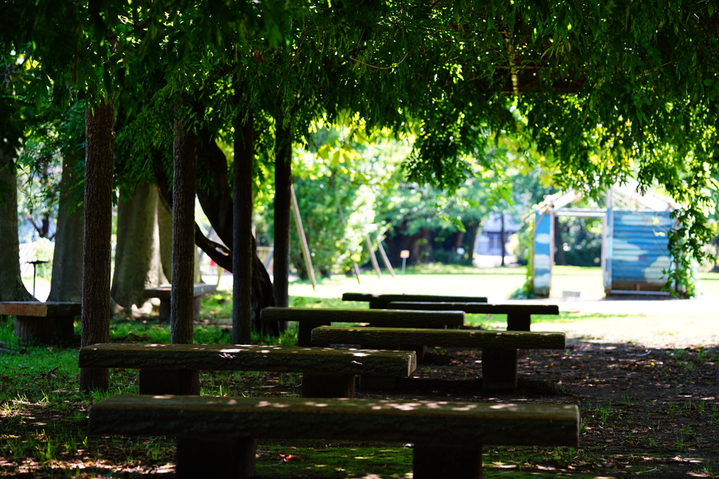 FE 90mm F2.8 Macro G OSS TEST