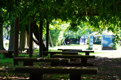 FE 90mm F2.8 Macro G OSS TEST