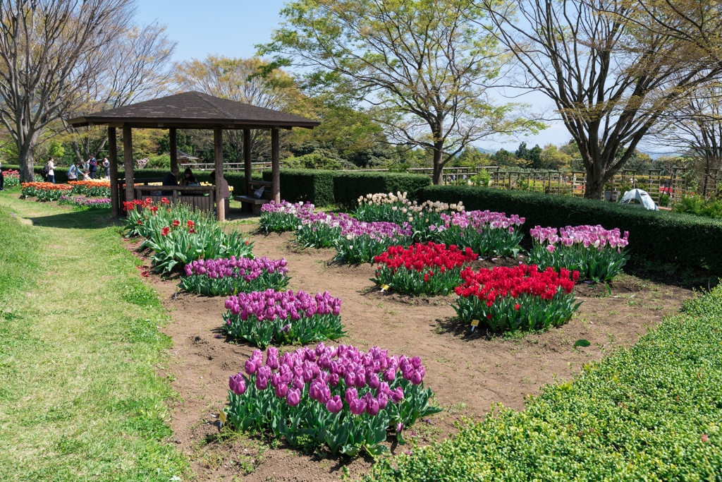 戸川公園