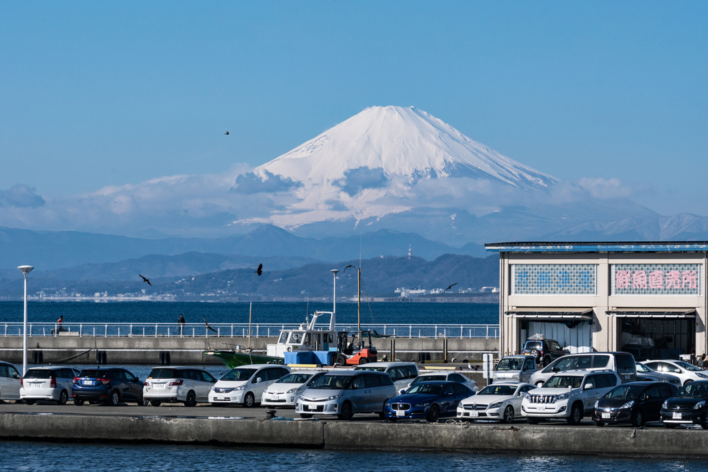 江ノ島から見えた富士山