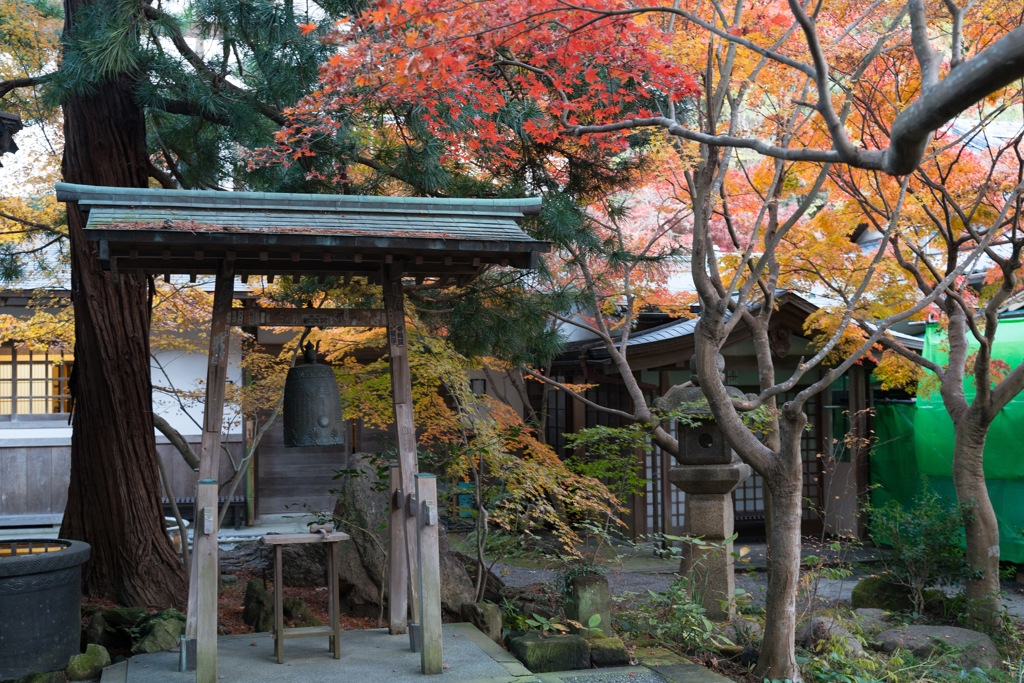 鎌倉　覚円寺