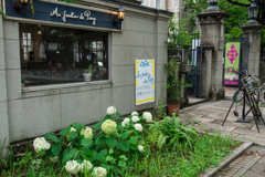 2020-06-28 横浜スナップ