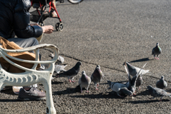 2021-01-31 山下公園