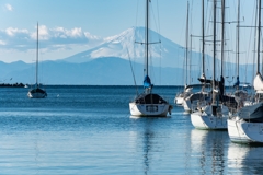 諸磯湾と富士山
