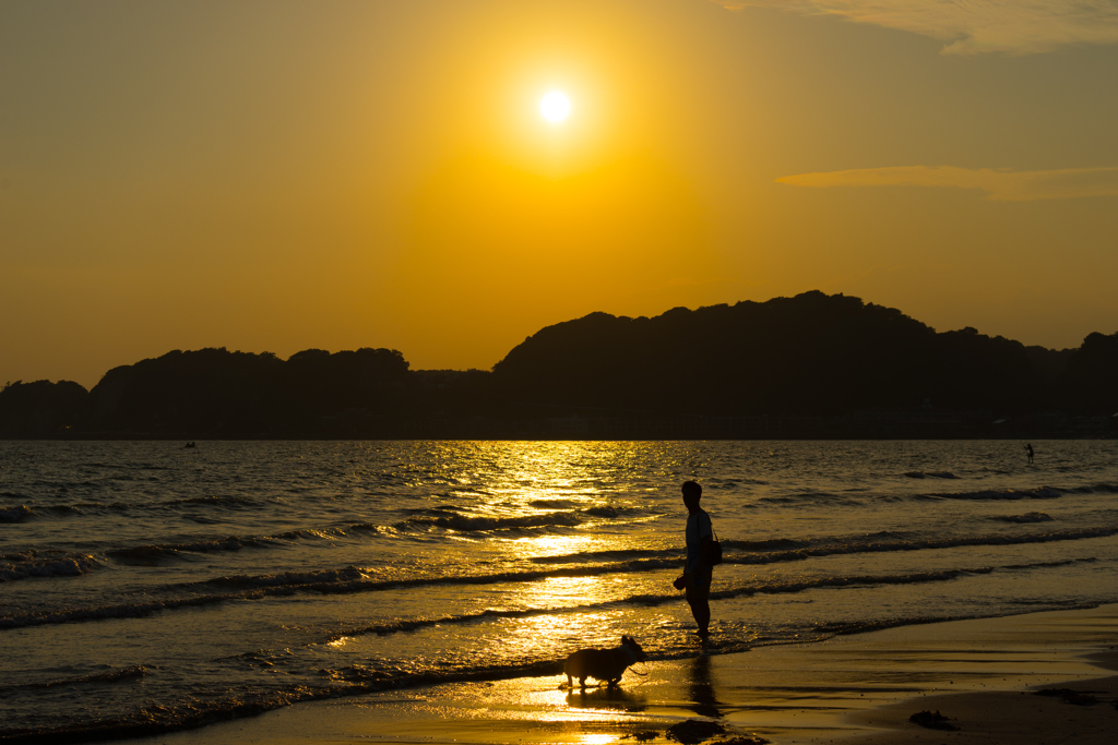 夕暮れの散歩