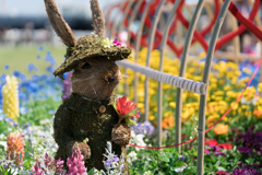 春の横浜スナップ