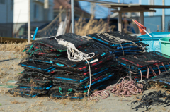 2021-02-14 材木座海岸