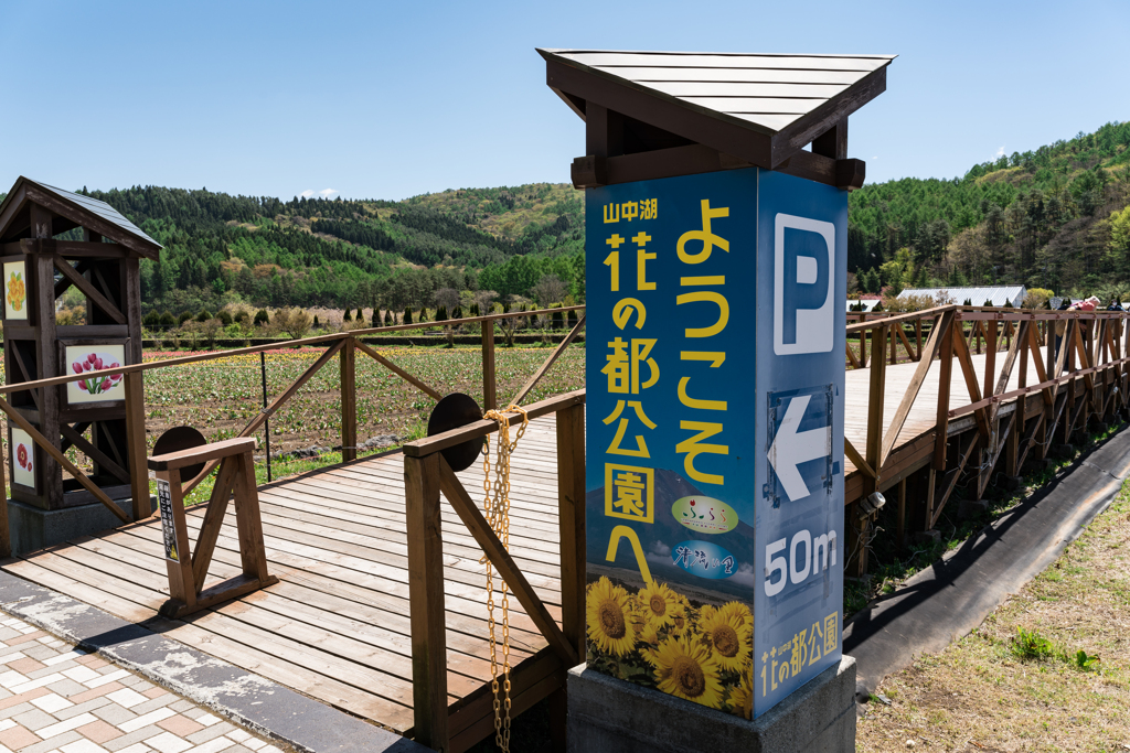 山中湖　花の都公園
