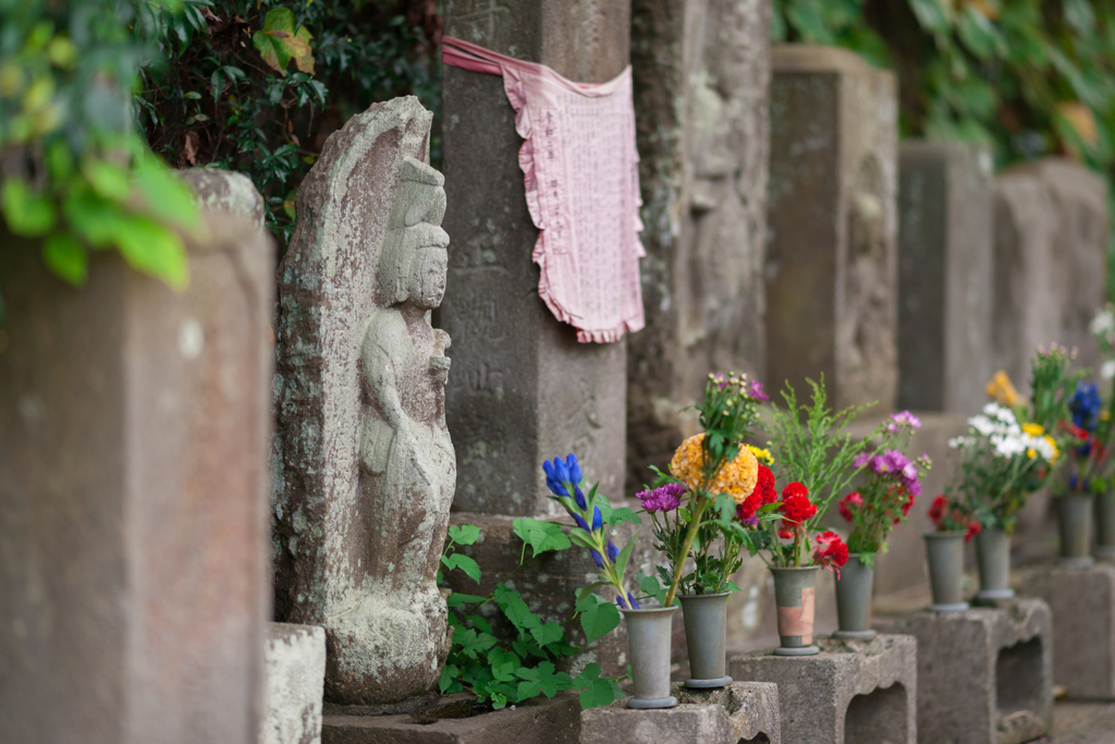 称名寺スナップ