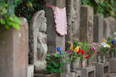 称名寺スナップ