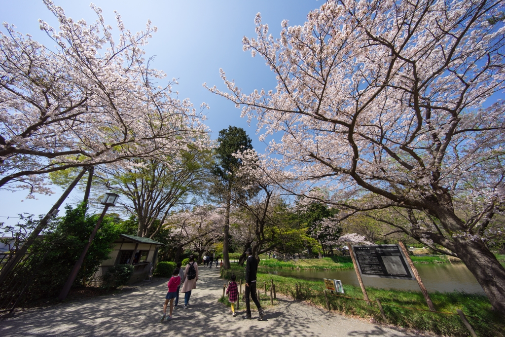 2018年春の称名寺