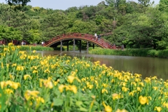 春の称名寺