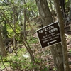 本栖湖展望台登山道