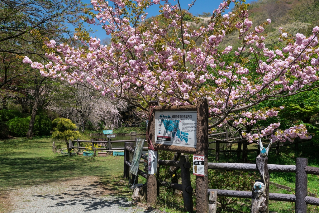 最明寺史跡公園