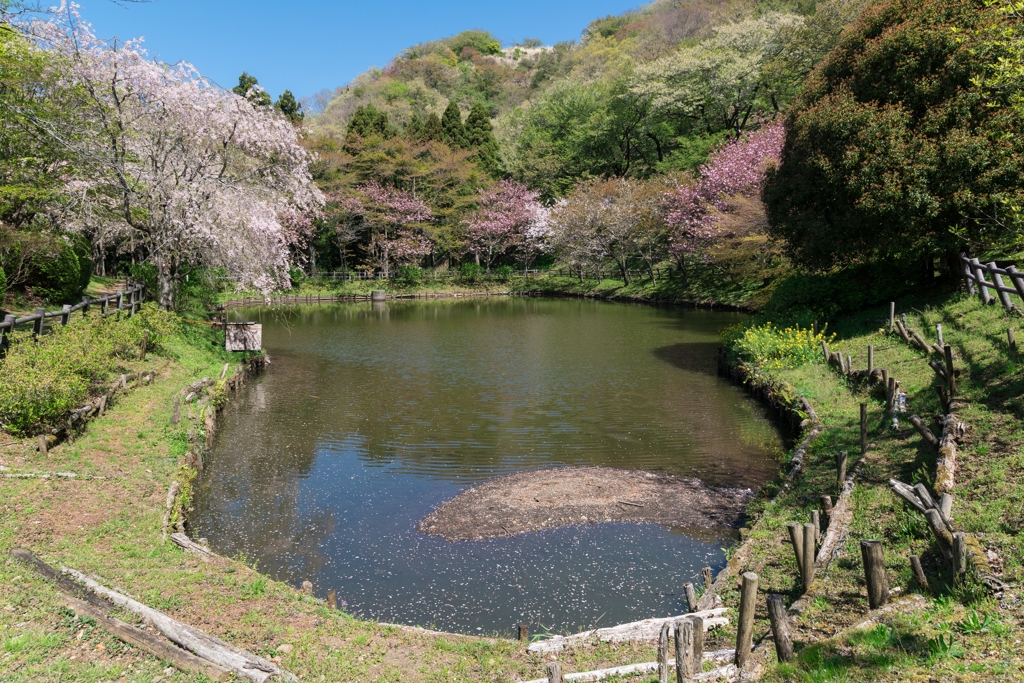 最明寺史跡公園