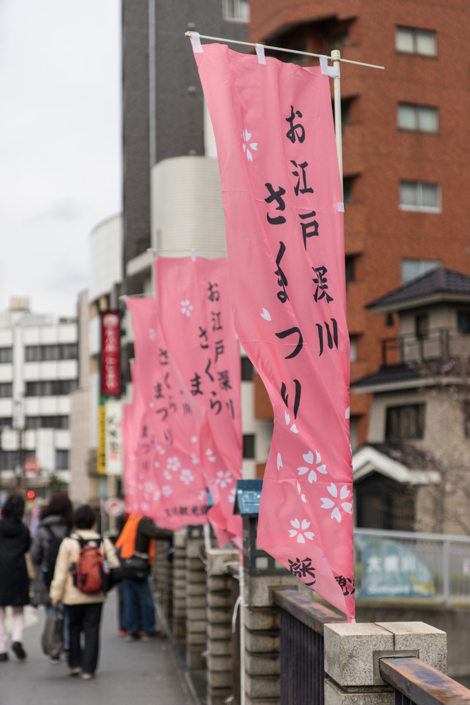 お江戸桜まつり