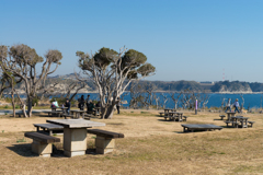 2021-08-07 城ヶ島