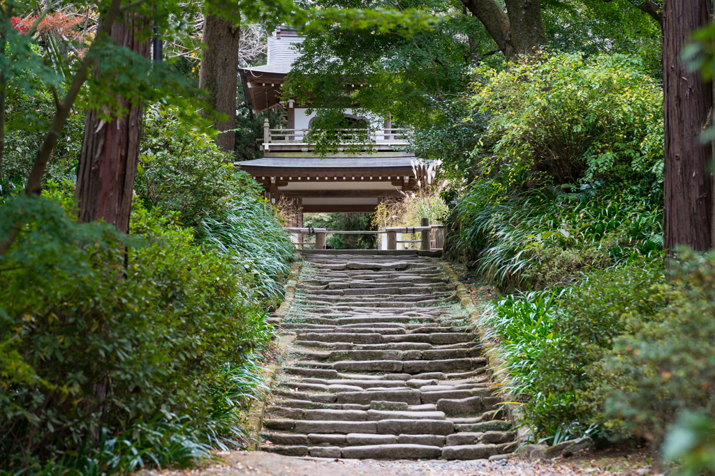 鎌倉　浄智寺