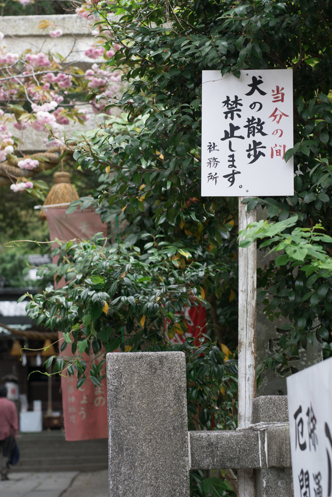 八雲神社　犬の散歩禁止