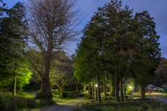 2019年大晦日の称名寺