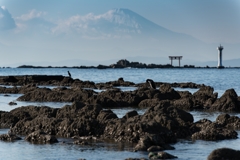 真名瀬から富士山