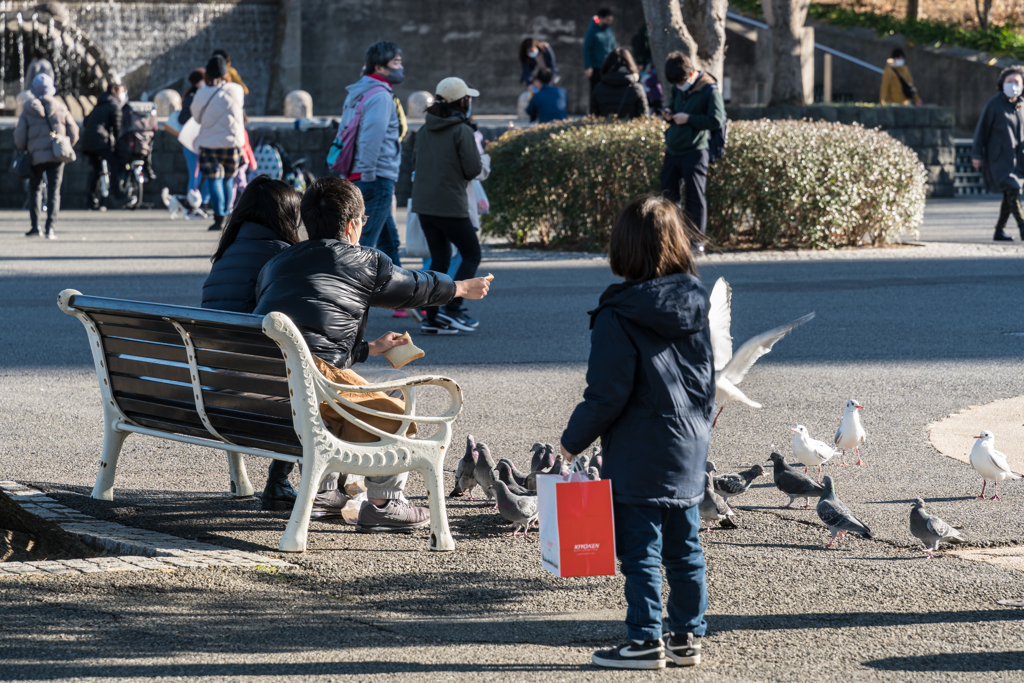 2021-01-31 山下公園