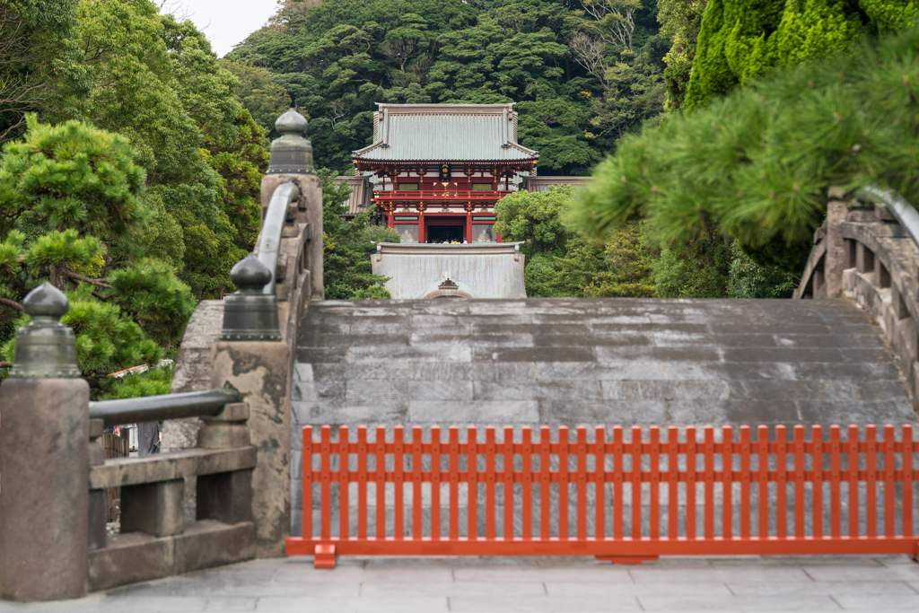 鎌倉　鶴岡八幡宮