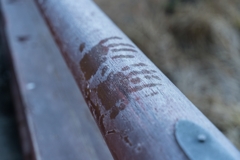 2021元旦　称名寺