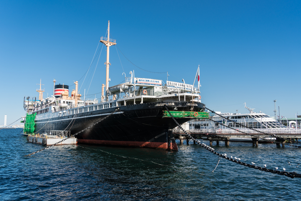 2021-01-31 山下公園