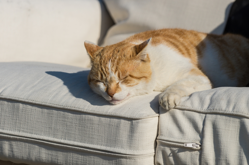 2021-02-14 材木座海岸