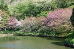 最明寺史跡公園