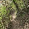本栖湖展望台登山道