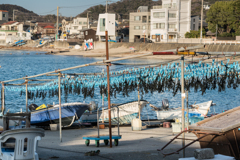 葉山スナップ