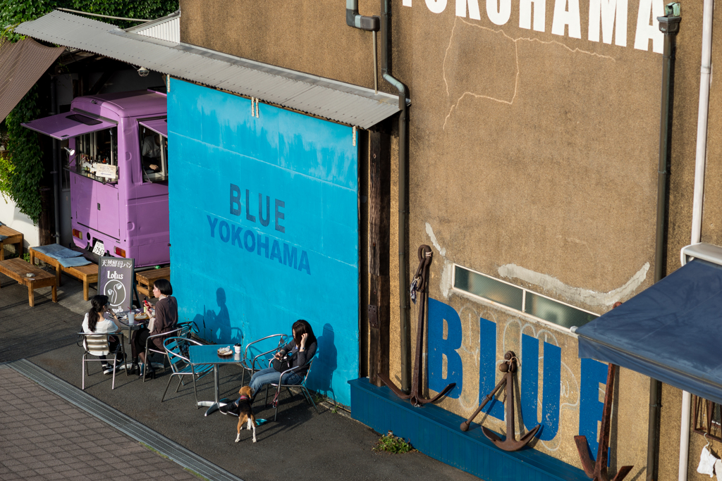 100マクロでヨコハマ・スナップ