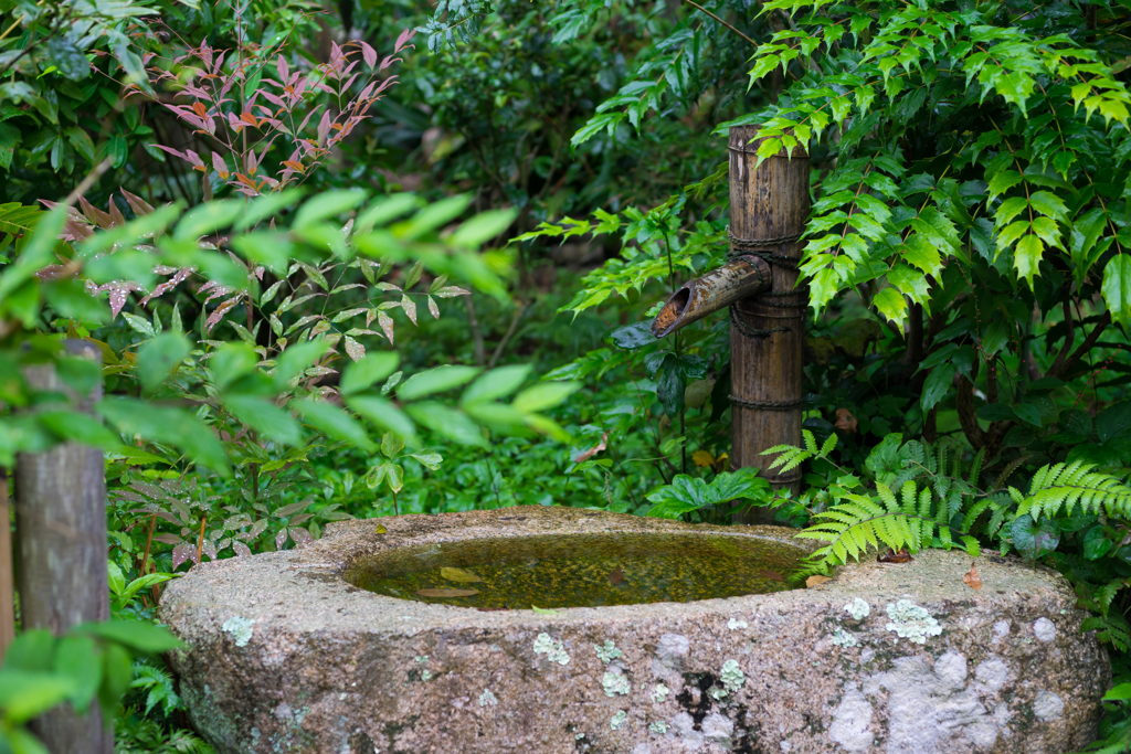 雨の円覚寺